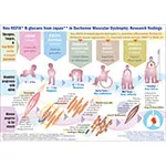 GNC DMD IBRO PR BW F1