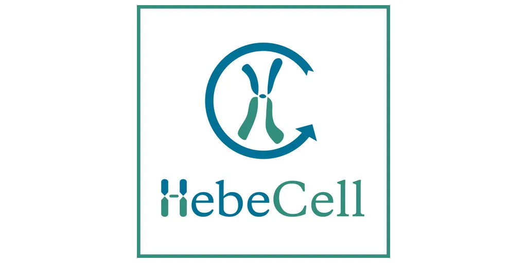 Hebecell_Logo_2-1