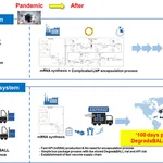 Lemonex DegradaBALL Image
