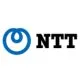 NTT Group Logo 2
