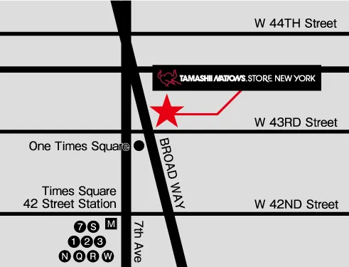TNS-NY-map