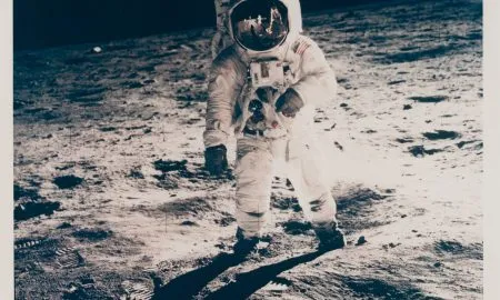 20230927Lot117BuzzAl Pollo11 196