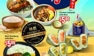 7 Eleven JAP Fusion RTE A4 Poste