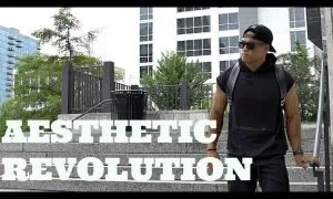 Aesthetic Revolution