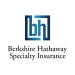 BHSI Logo FINAL STACKED RGB 2013 12 10