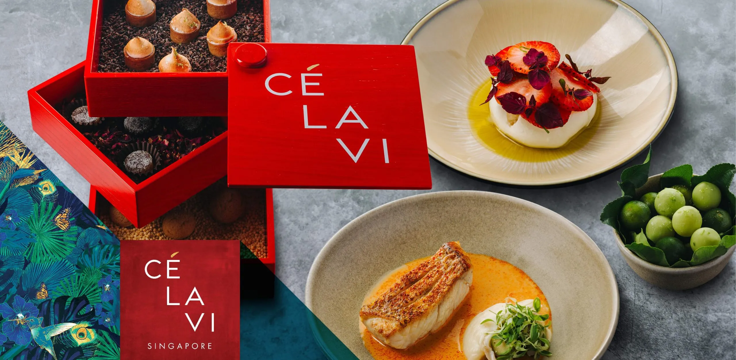CLV PR Banner V02 Scaled