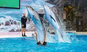 Dubai Dolphinarium