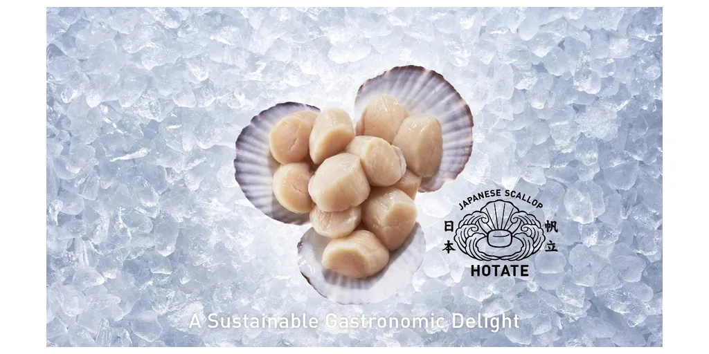 Hotate1-1