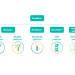 PR RenMice Picture EN