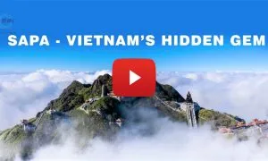 PressReleaseTMP1qODJe