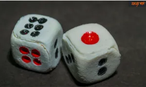 Title JungliWin Review Secure Betting And Casino Gaming For Indian Players Google Docs