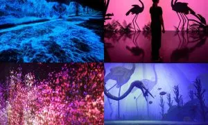 ARTE M Media Outreach