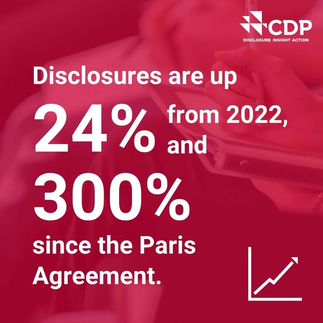 Disclosures-are-up-24-from-2022