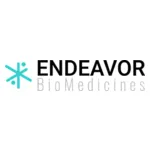 Endeavor Logo