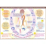 GNC PR 65 MDX Sci Rep BW Ill 1.4 OL 17Oct23