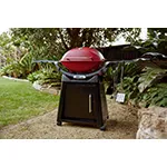 Weber Q 2