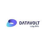 DataVolt Logo