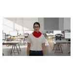 FALCON GO FRIENDLY PROMO V2 ZOA 3