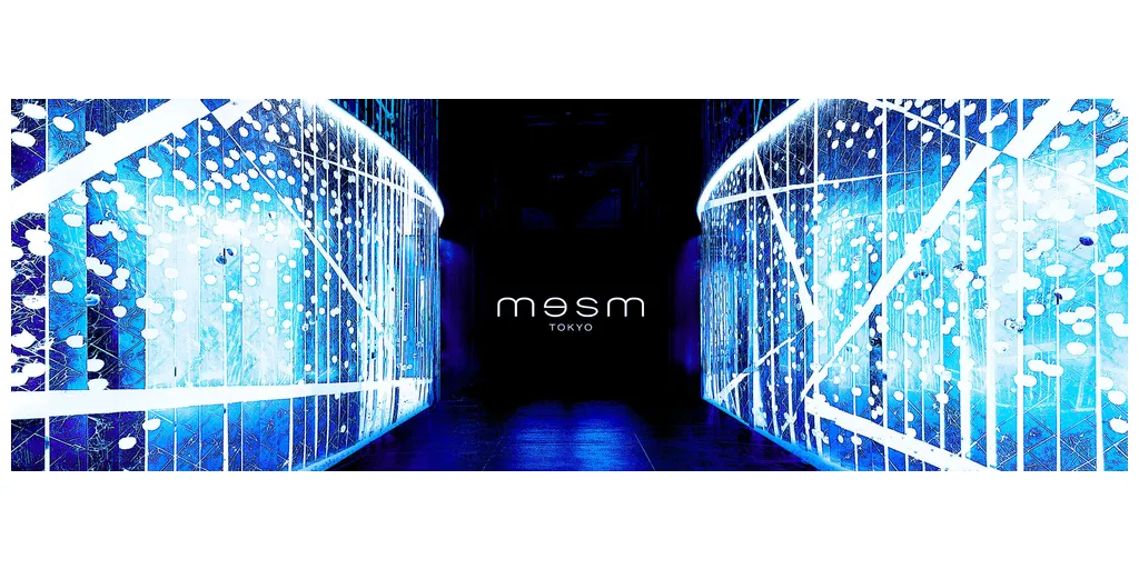 MESM1-1