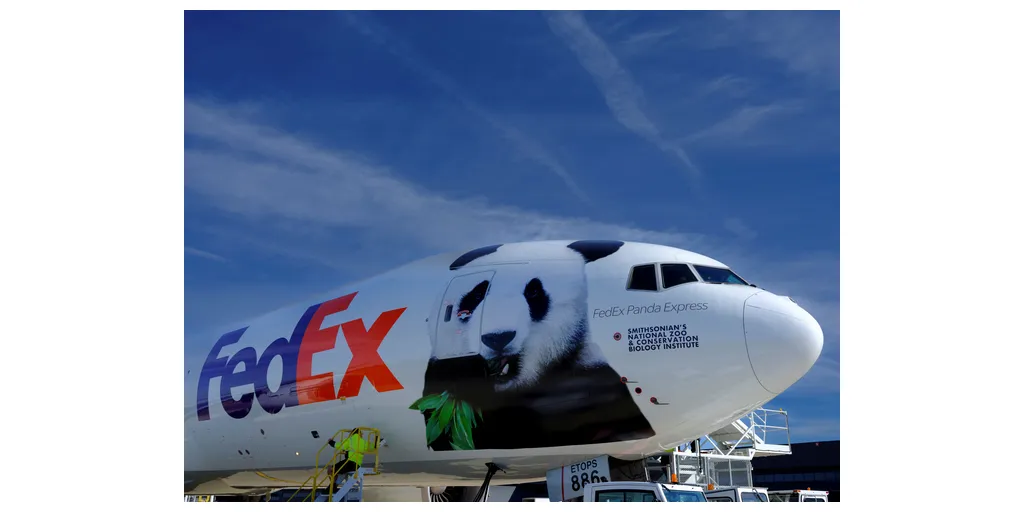 Panda2-1