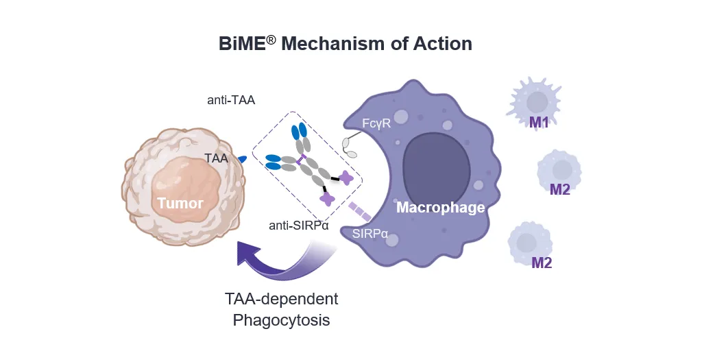 BiME-1