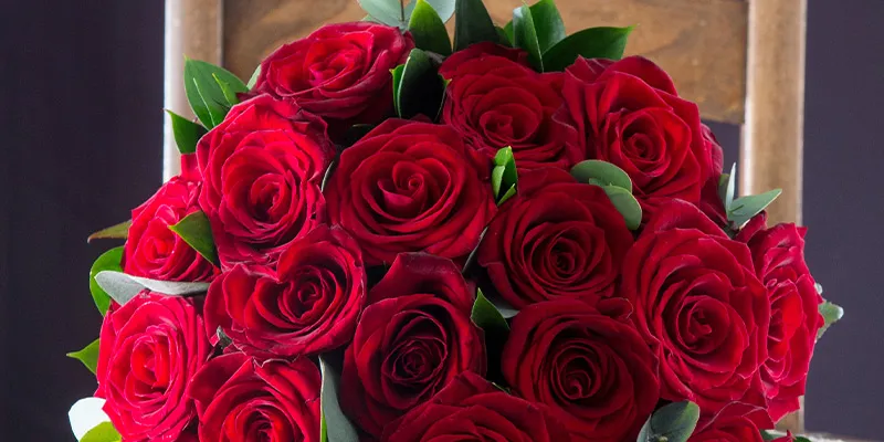 Blossoming Beauties