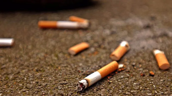 Tobacco