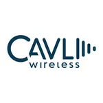 Cavli_Wireless_28PNG29