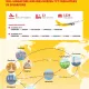 DHL Express Infographic SIA Tran