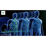 Key Visual Copyright ICPO Foundation Without Text.jpg