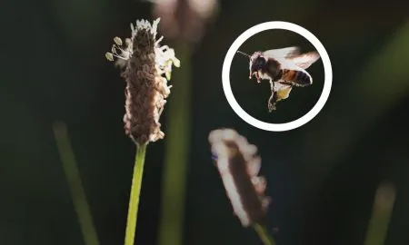 240226 Ricola BCorp 2