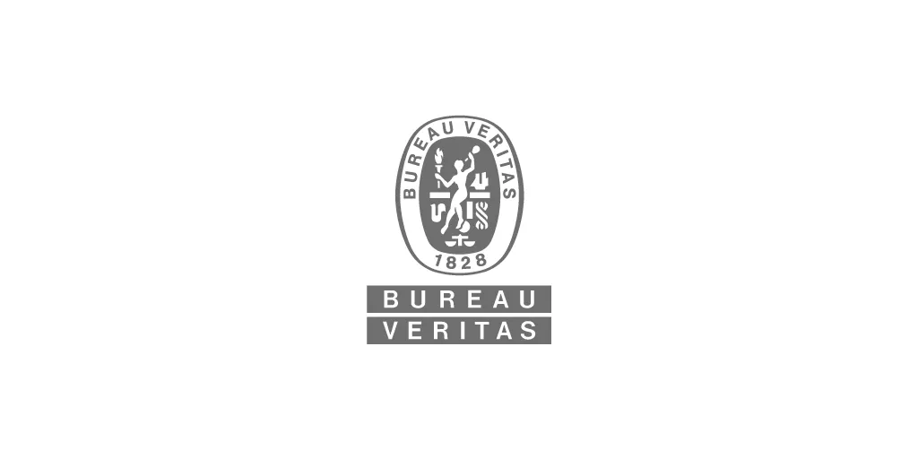 337px Logo BV RGB GRAY
