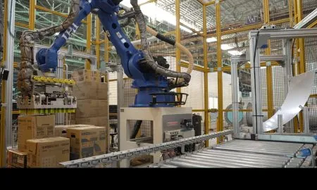 OSARO IHI Mixed Case2 Sm