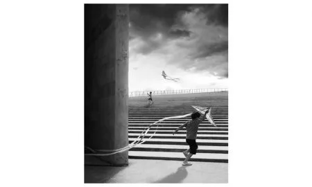 Overall Winner CIDL4121 02Saeed RezvanianMexico