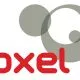 POXEL LOGO Q
