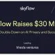 Skyflow Funding