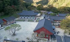 TWD 1113 Korea Promo 30