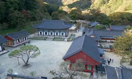 TWD 1113 Korea Promo 30