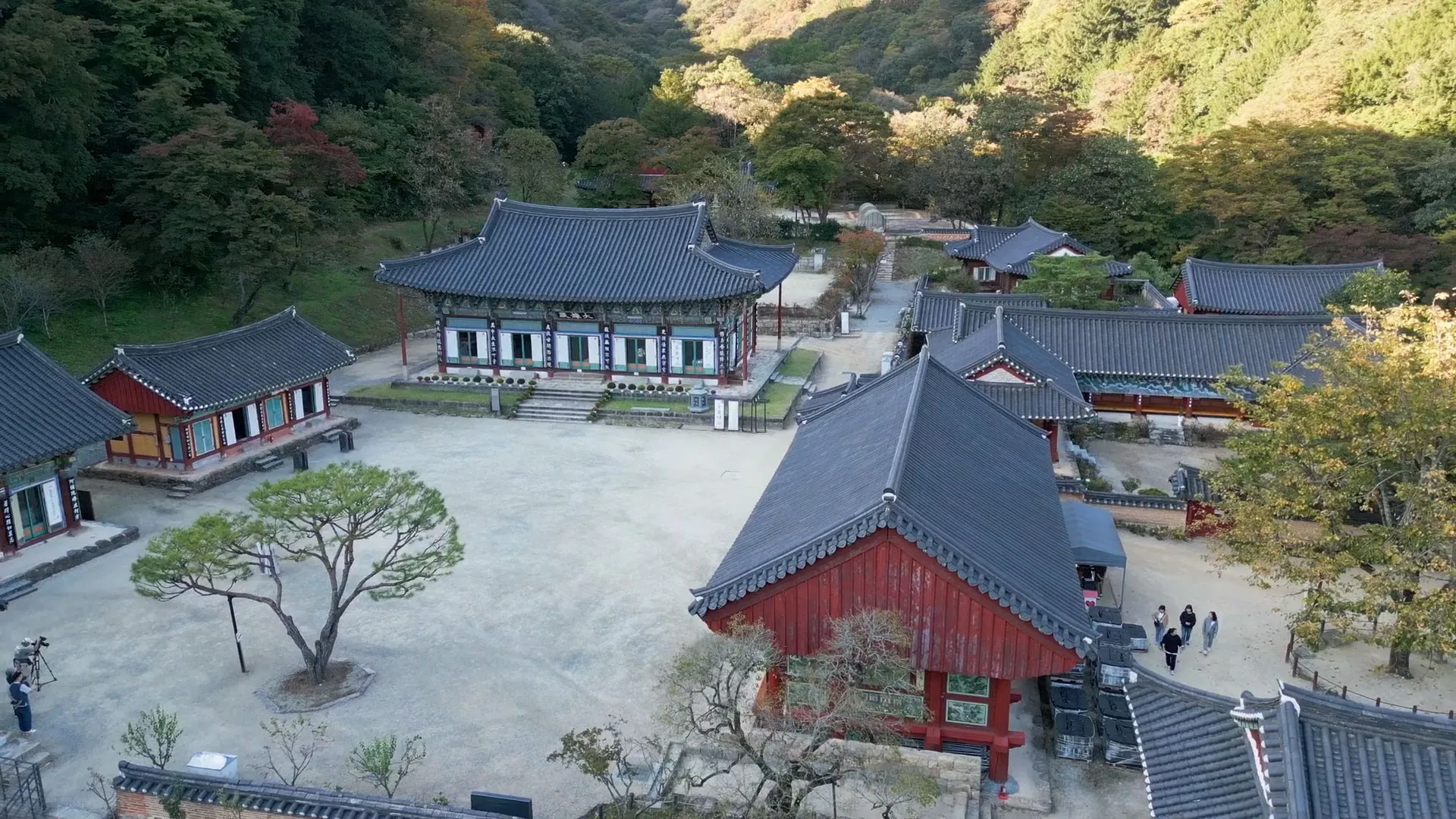 TWD_1113-Korea-_Promo_30