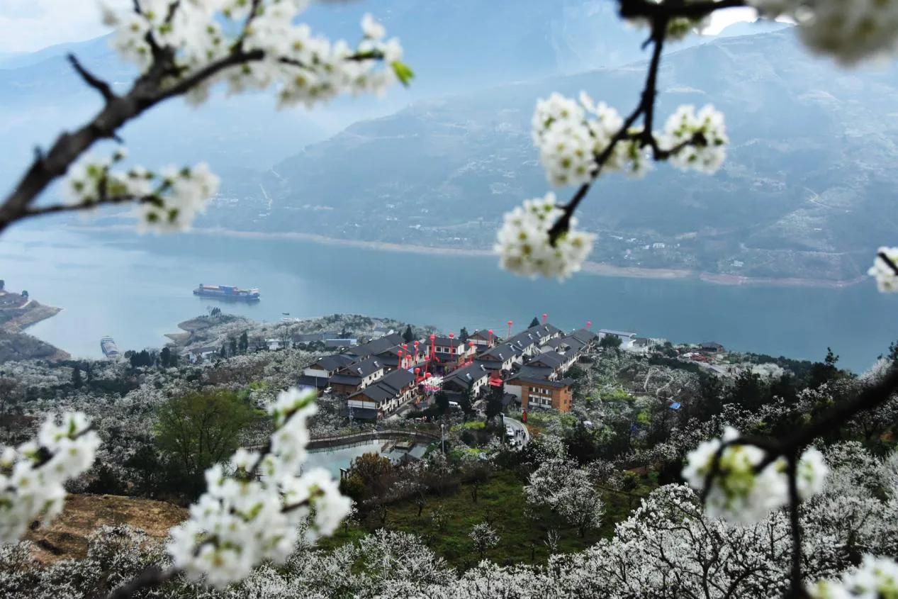 image-1-15