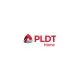 Pldt Logo Size Optimized