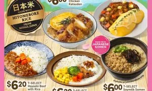 7 Eleven Japanese Inspired Ready