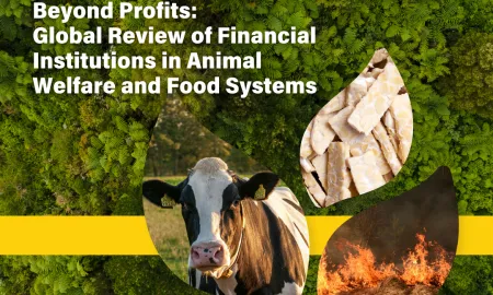 Banks Report Cover Image And Inp