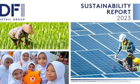 DFI Sustainability Report Cover 