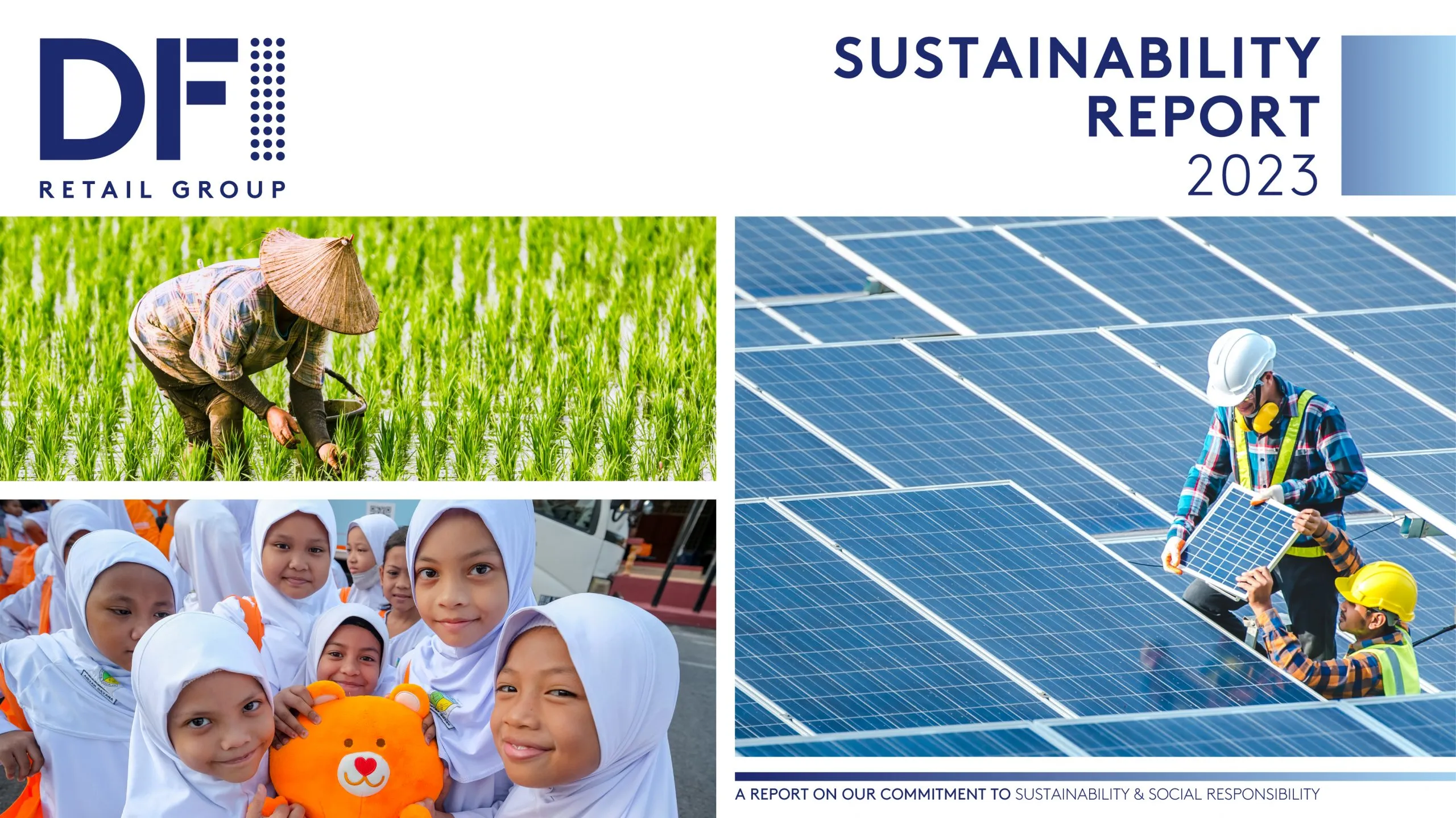 DFI Sustainability Report Cover Scaled