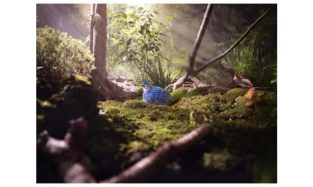 Qualia 28Forged2C 202429