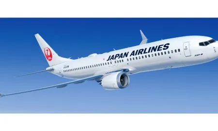 737 8 JAL