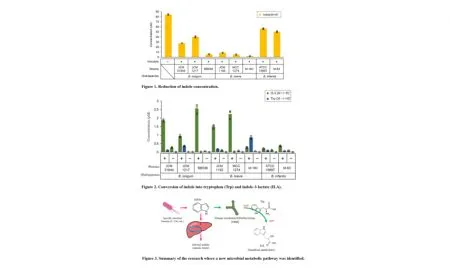 HRB Indole To ILA Figure