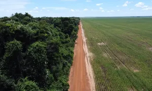 Regenerating Degraded Land In Ce