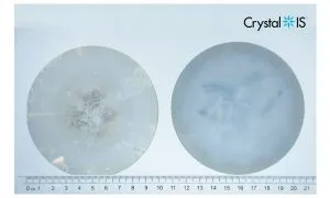 2024.06 4Inch CIS AKC